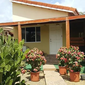 Bubali Appartement Palm Beach